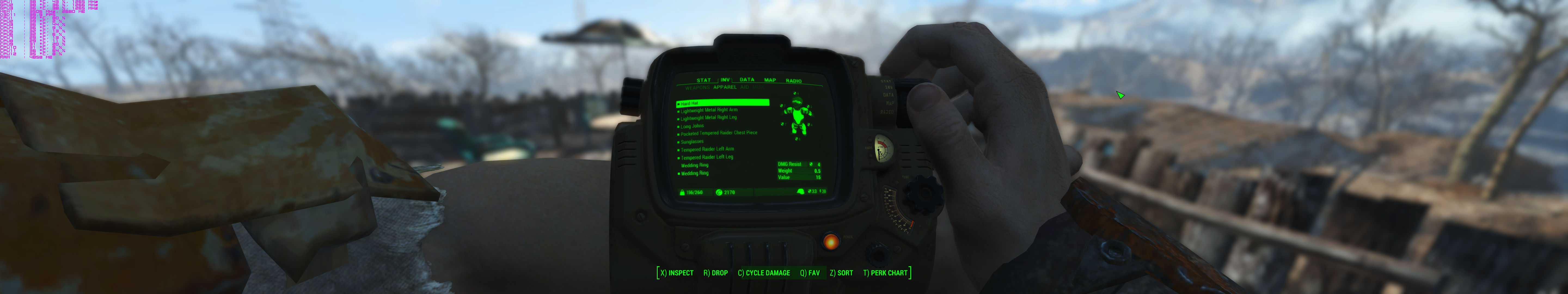 pipboy.jpg